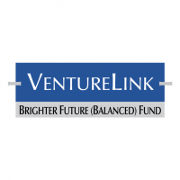 VentureLink vector
