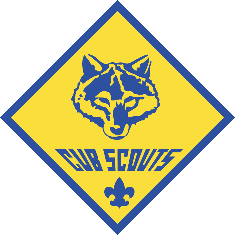 Cub Scouts vector