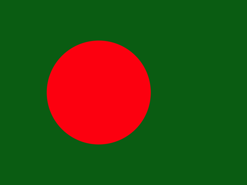 Flag of Bangladesh vector