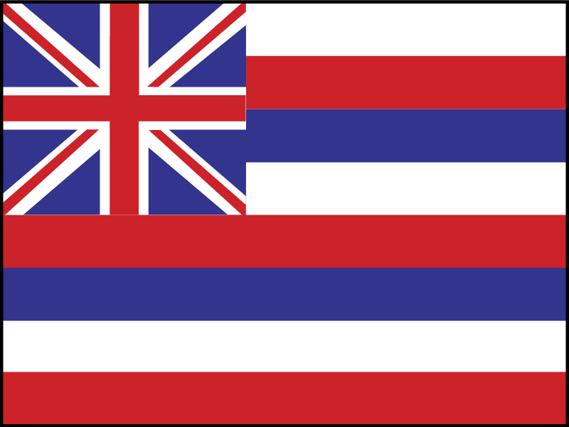 hawaii vector