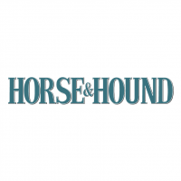 Horse &amp; Hound vector