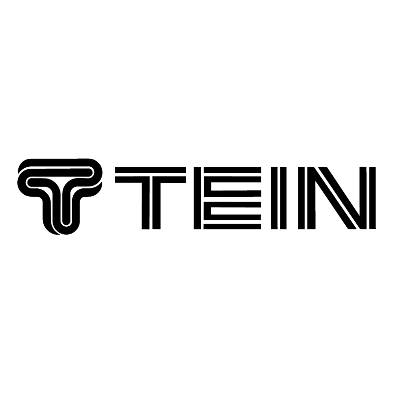 TEIN vector logo