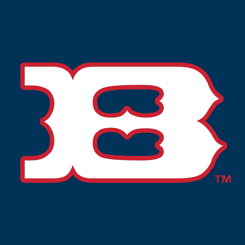 Boise Hawks 58725 vector logo