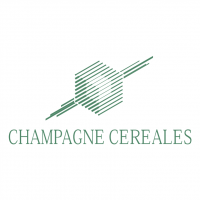 Champagne Cereales vector