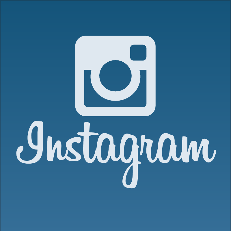 Instagram icon vector logo