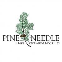Pine Needle vector