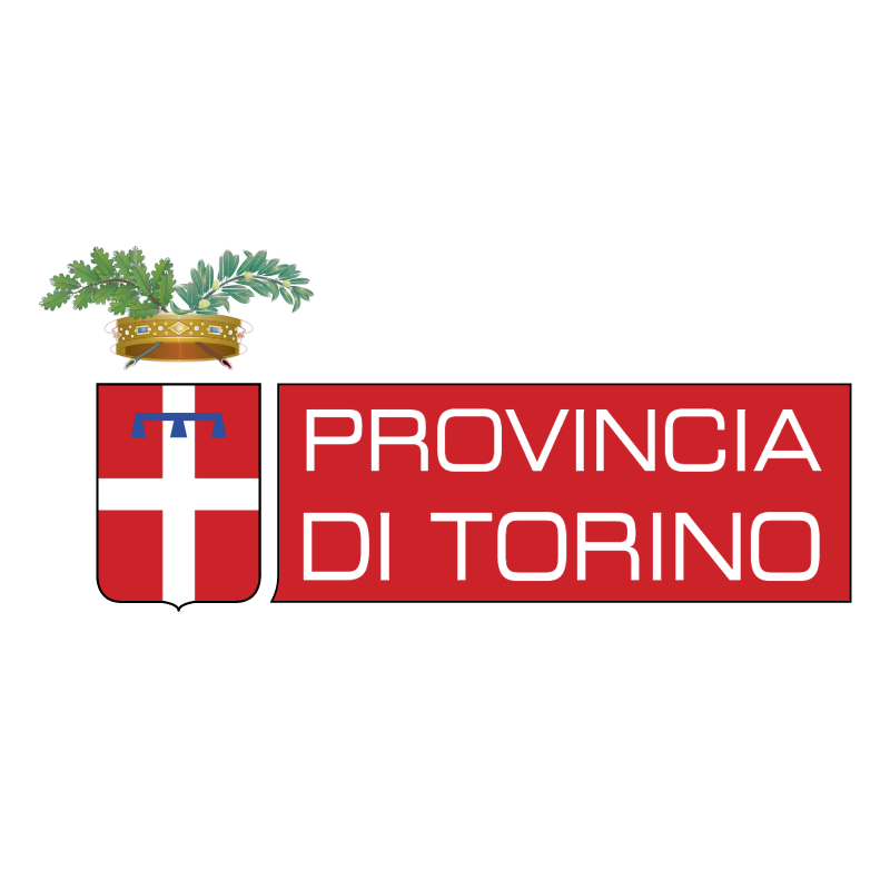 Provincia di Torino vector