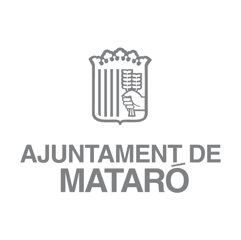 Ajuntament De Mataro vector