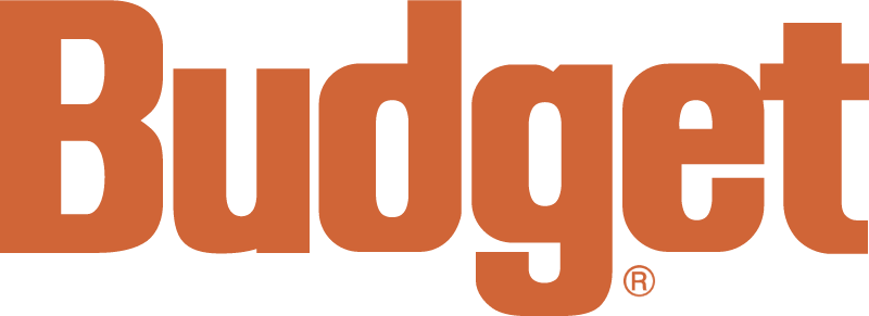 Budget logo vector