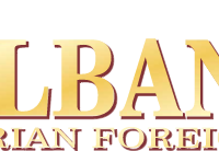BulBank logo vector