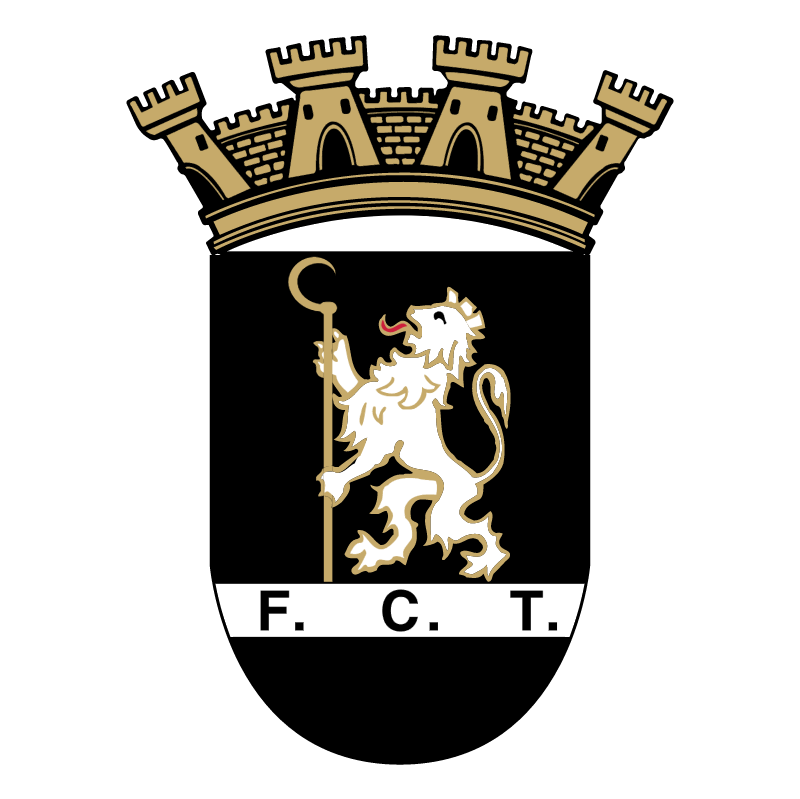 FC Tirsense vector