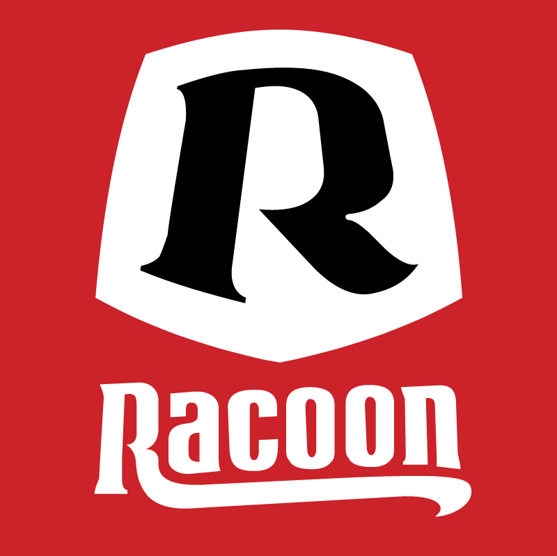 Racoon vector