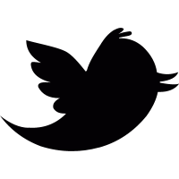 Twitter logo vector