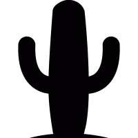 Desert cactus vector