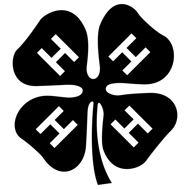 4 H vector logo