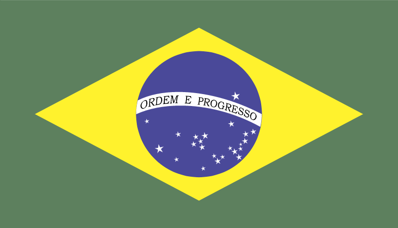 Bandeirado Brasil vector