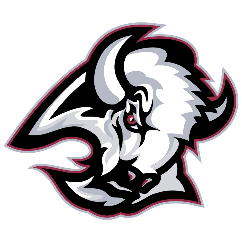 Buffalo Sabres 20501 vector logo