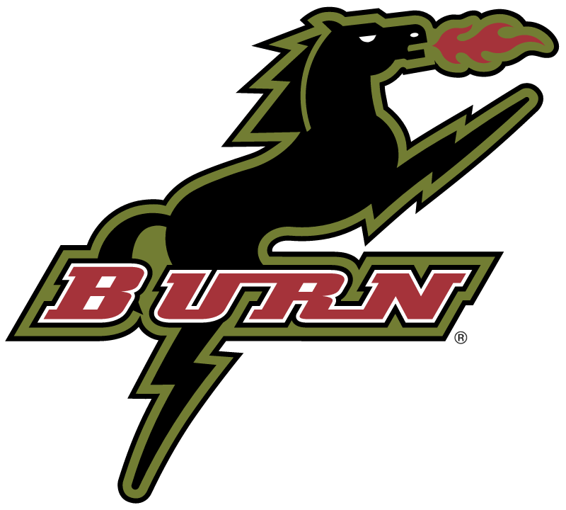 BURN vector logo