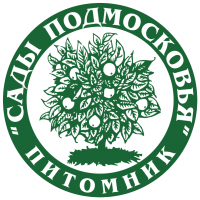 Sady Podmoskoviya vector