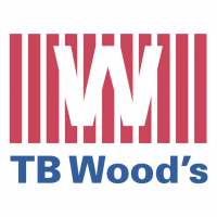 TB Wood s vector
