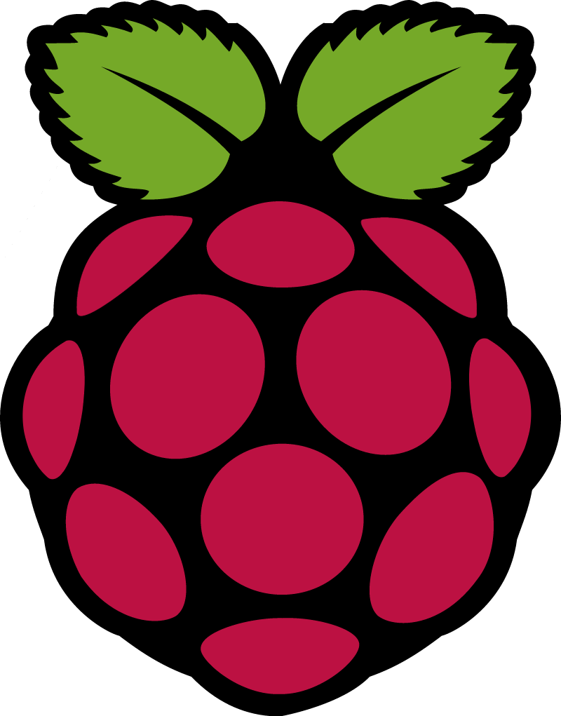 Raspberry Pi vector