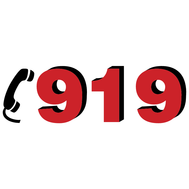 919 vector logo