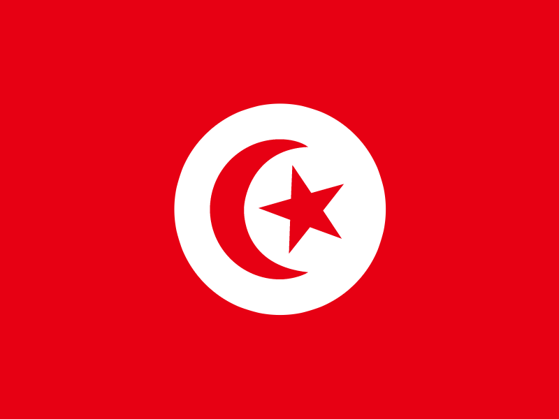 Flag of Tunisia vector
