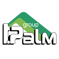 T Palm Group vector