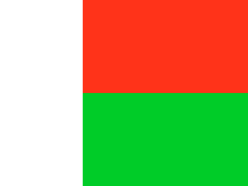 Flag of Madagascar vector
