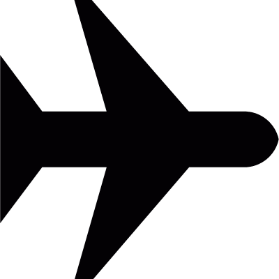 Flying airplane vector logo