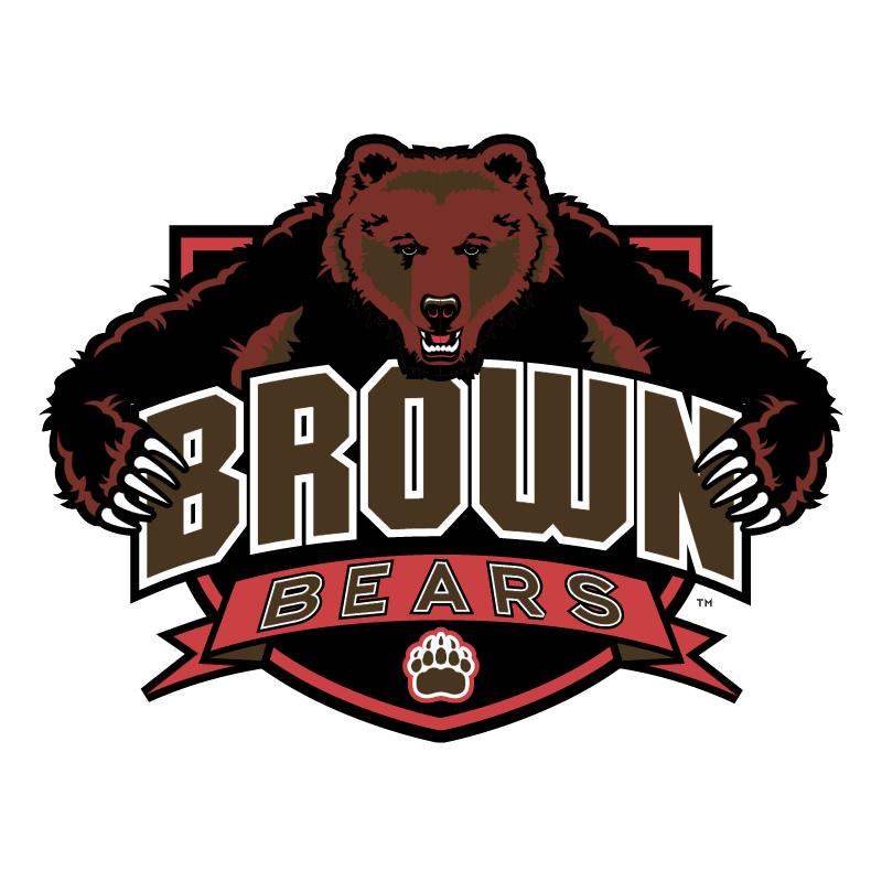 Brown Bears 74752 vector logo
