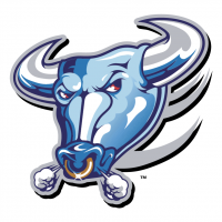 Buffalo Bulls vector