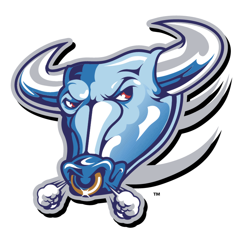 Buffalo Bulls vector logo