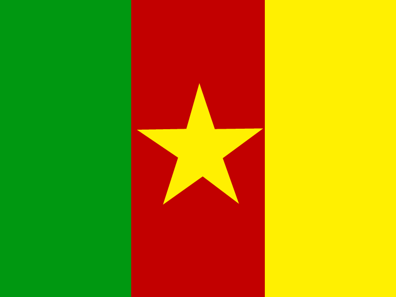 Flag of Cameroon vector logo