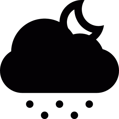 Night snow vector logo