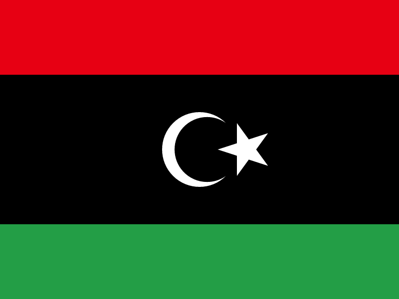 Flag of Libya vector