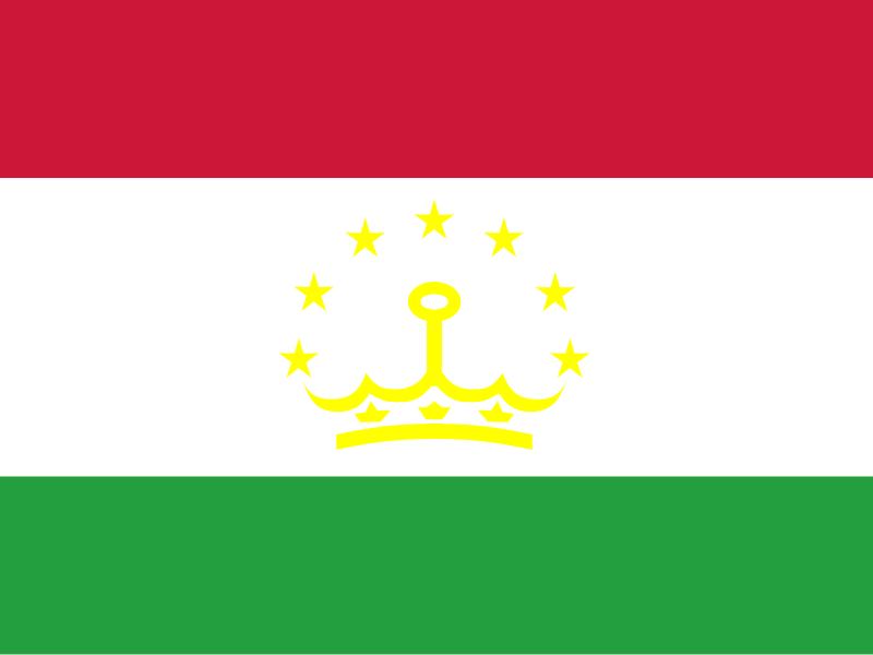 Flag of Tajikistan vector