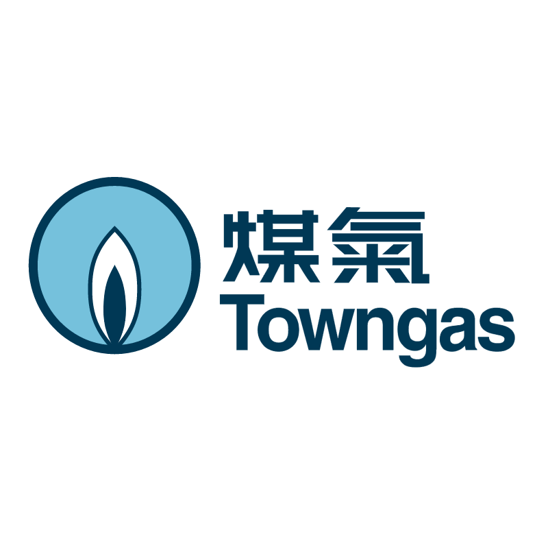 Towngas vector