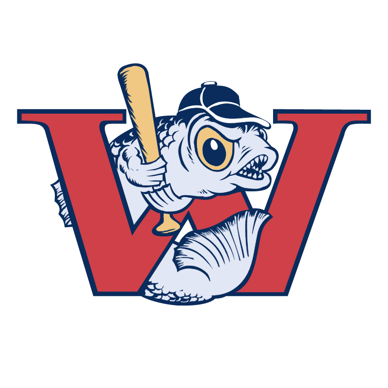 Winnipeg Goldeyes vector logo