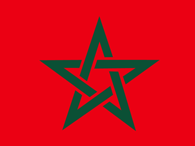 Flag of Morocco vector