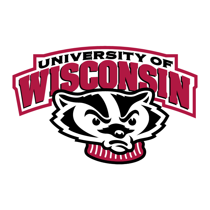 Wisconsin Badgers vector