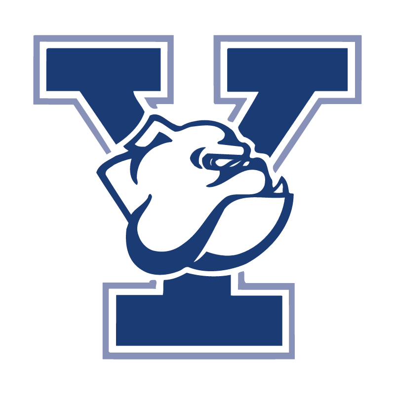 Yale Bulldogs vector