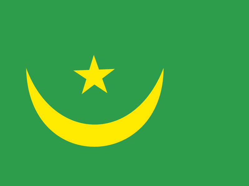 Flag of Mauritania vector logo