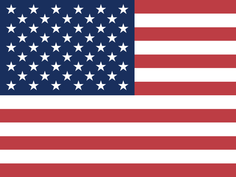 Flag of United States of America vector