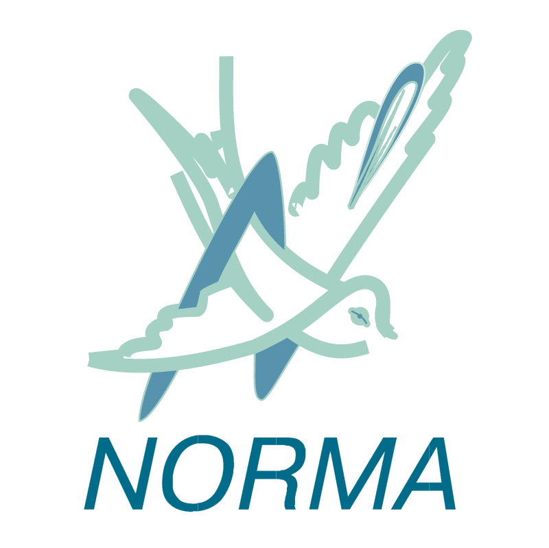 Norma vector logo