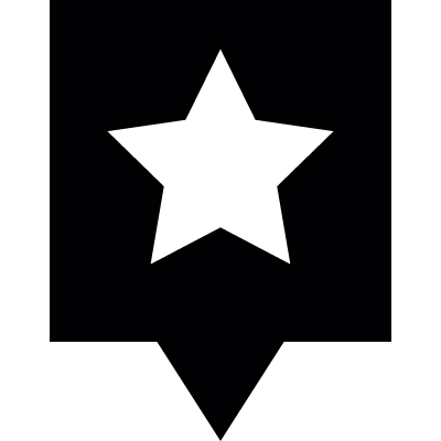 Star Pin vector logo