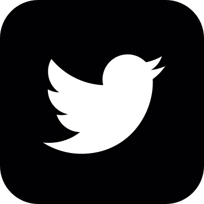 Twitter Logo vector logo
