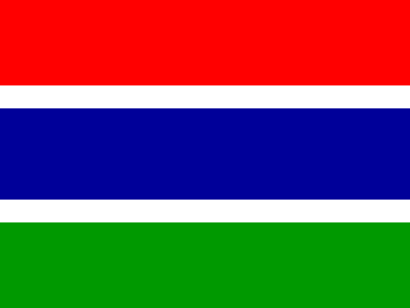Flag of Gambia vector