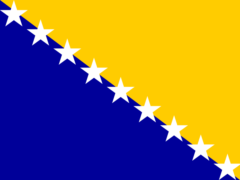 Flag of Bosnia and Herzegovina vector