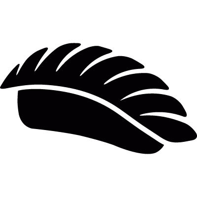 Sushi vector logo